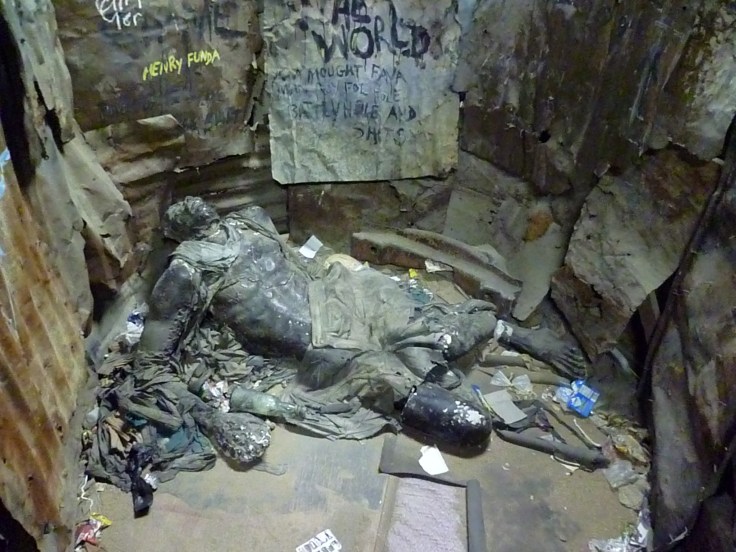 dawn scott - cultural object - central figure