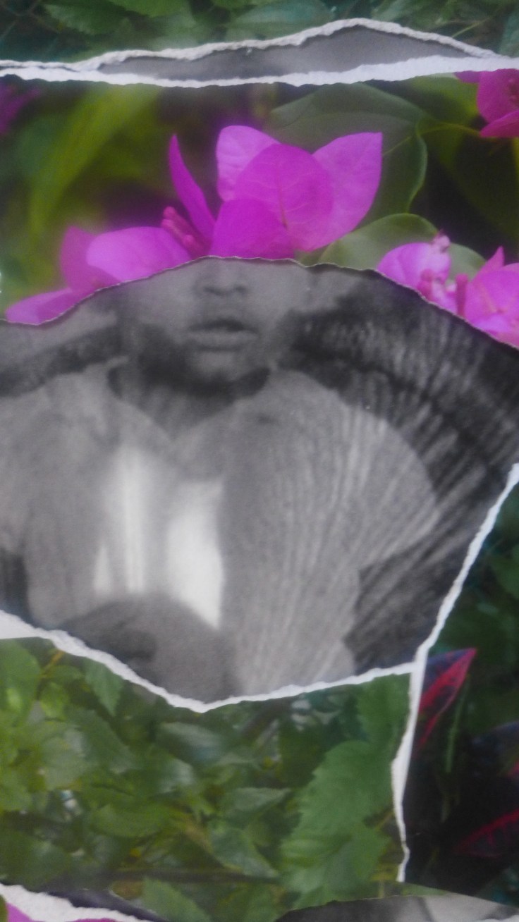 jacqueline-bishop-tristes-tropiques-1-2014-20x11-digital-photographic-collage