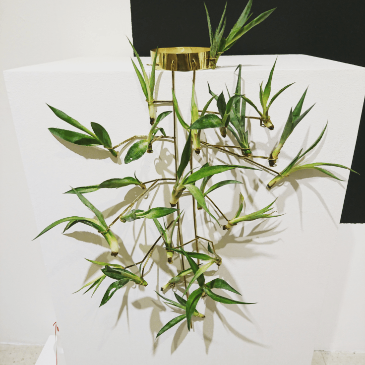 Girl and Magpie - Living Necklace